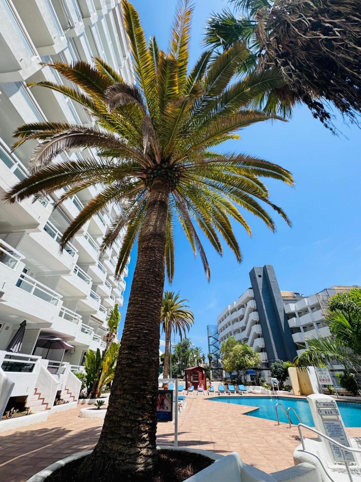 Jameo De Agua, Las Americas Studio Sea View Playa Feñabe Εξωτερικό φωτογραφία