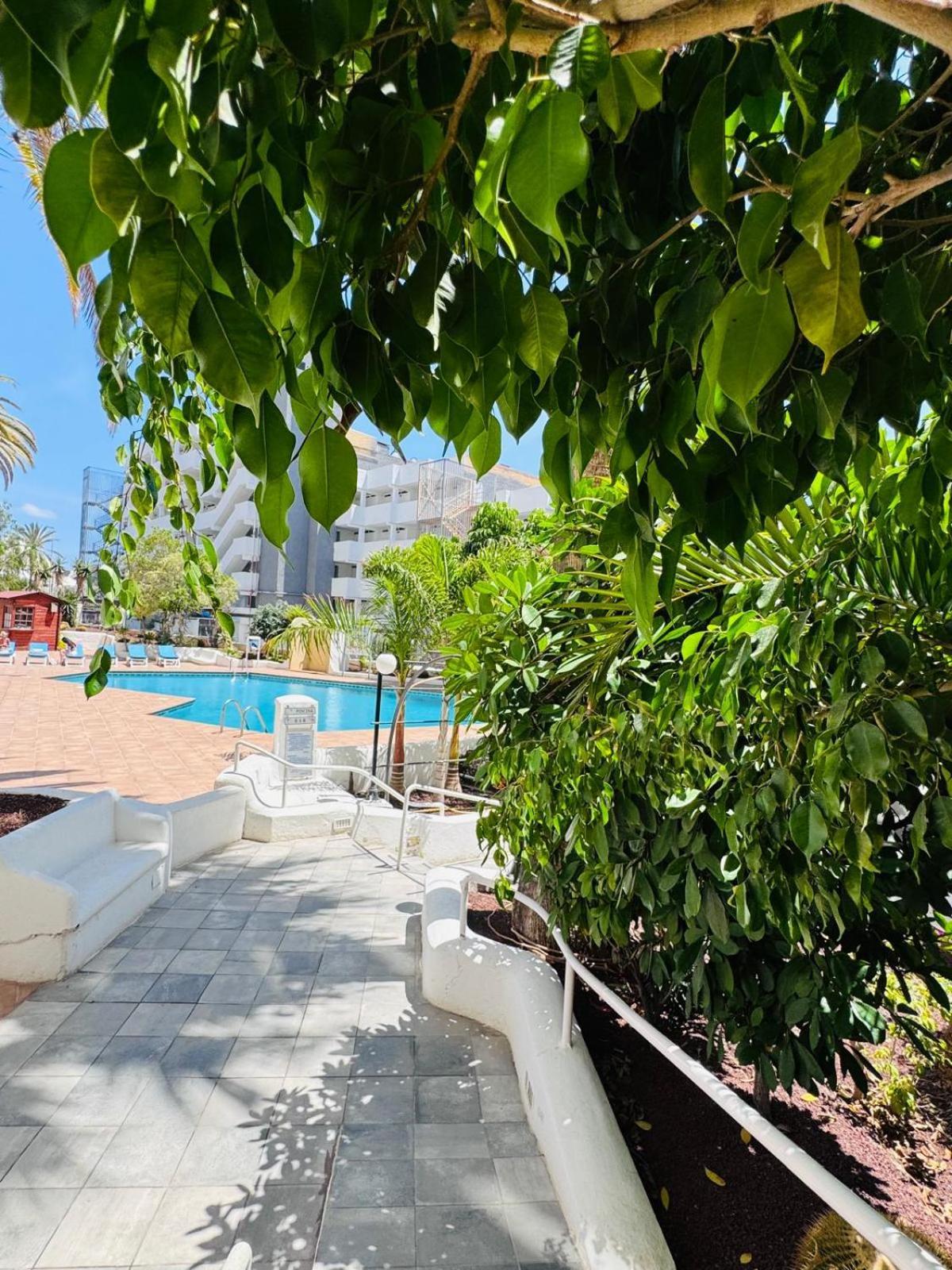 Jameo De Agua, Las Americas Studio Sea View Playa Feñabe Εξωτερικό φωτογραφία