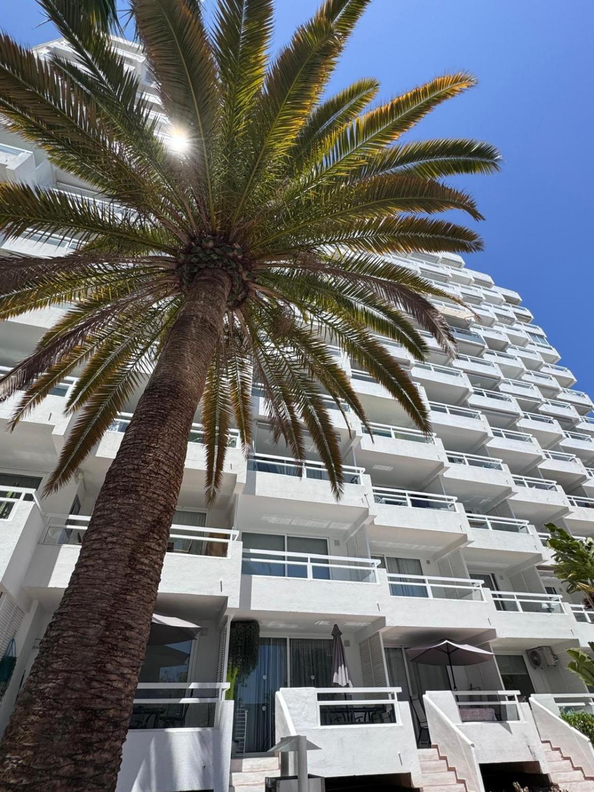 Jameo De Agua, Las Americas Studio Sea View Playa Feñabe Εξωτερικό φωτογραφία